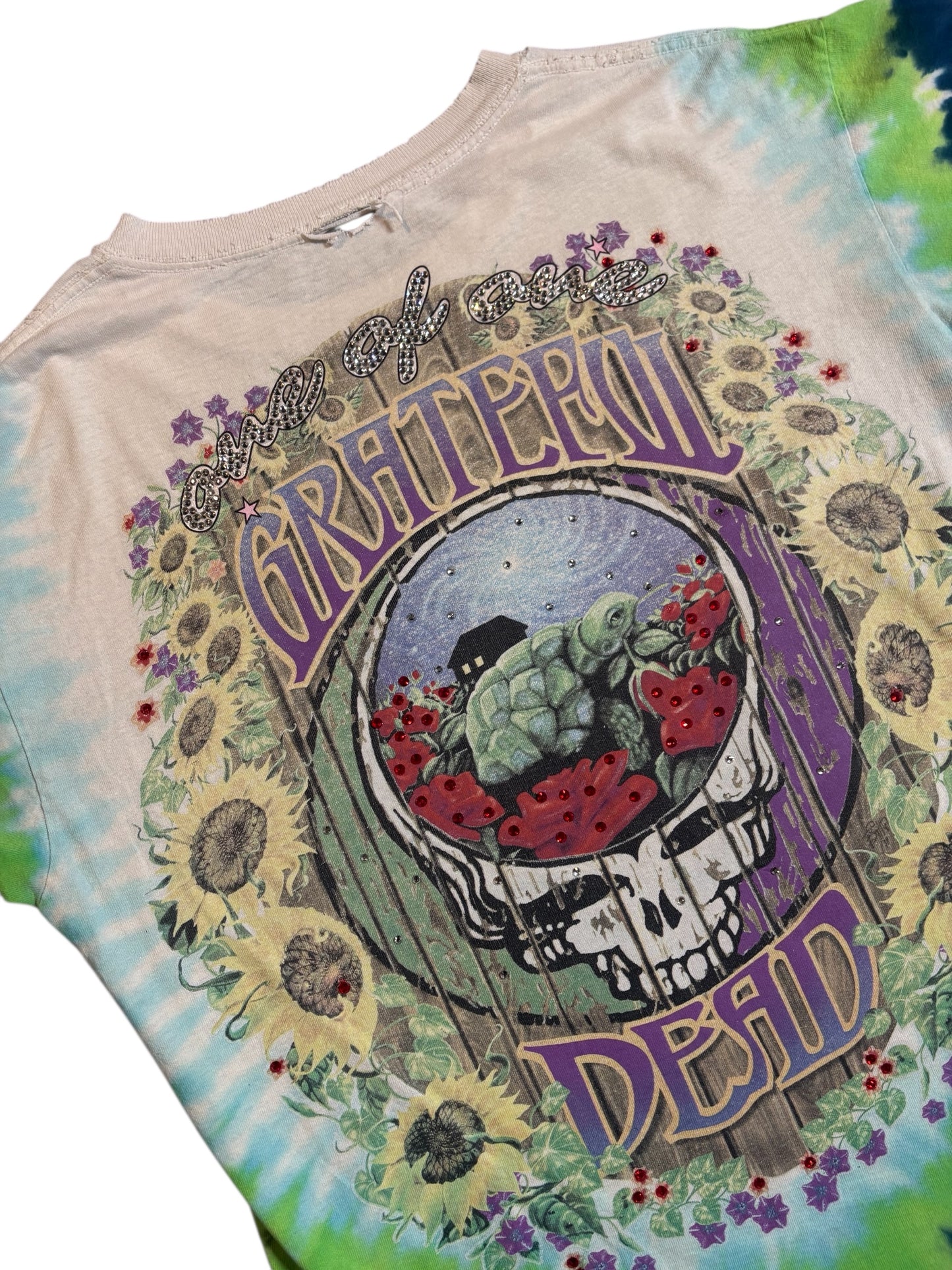 1/1 Grateful Dead vintage distressed graphic T (large)