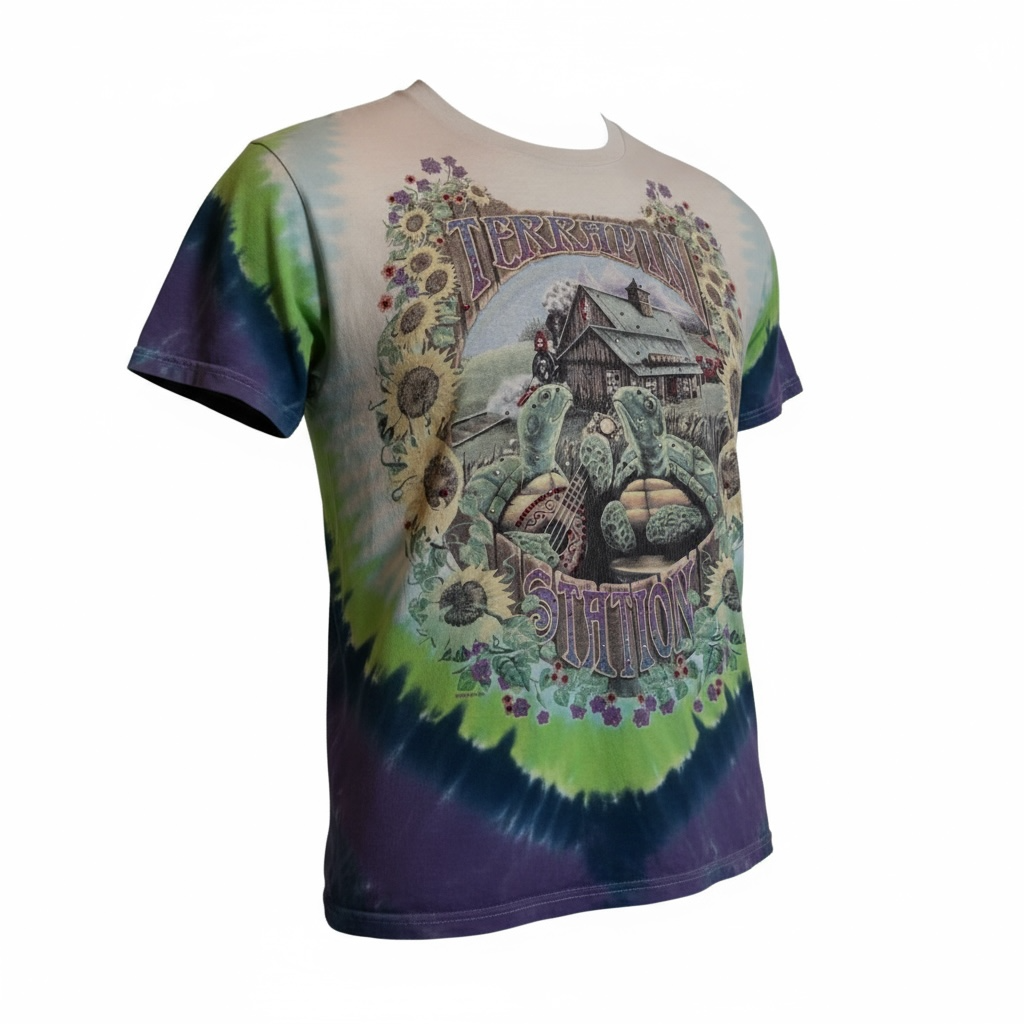 1/1 Grateful Dead vintage distressed graphic T (large)